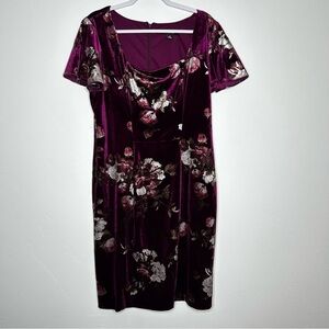 NWT Ignite Evenings Floral Velvet Mini Dress Dress Plum Wedding Guest Size 14